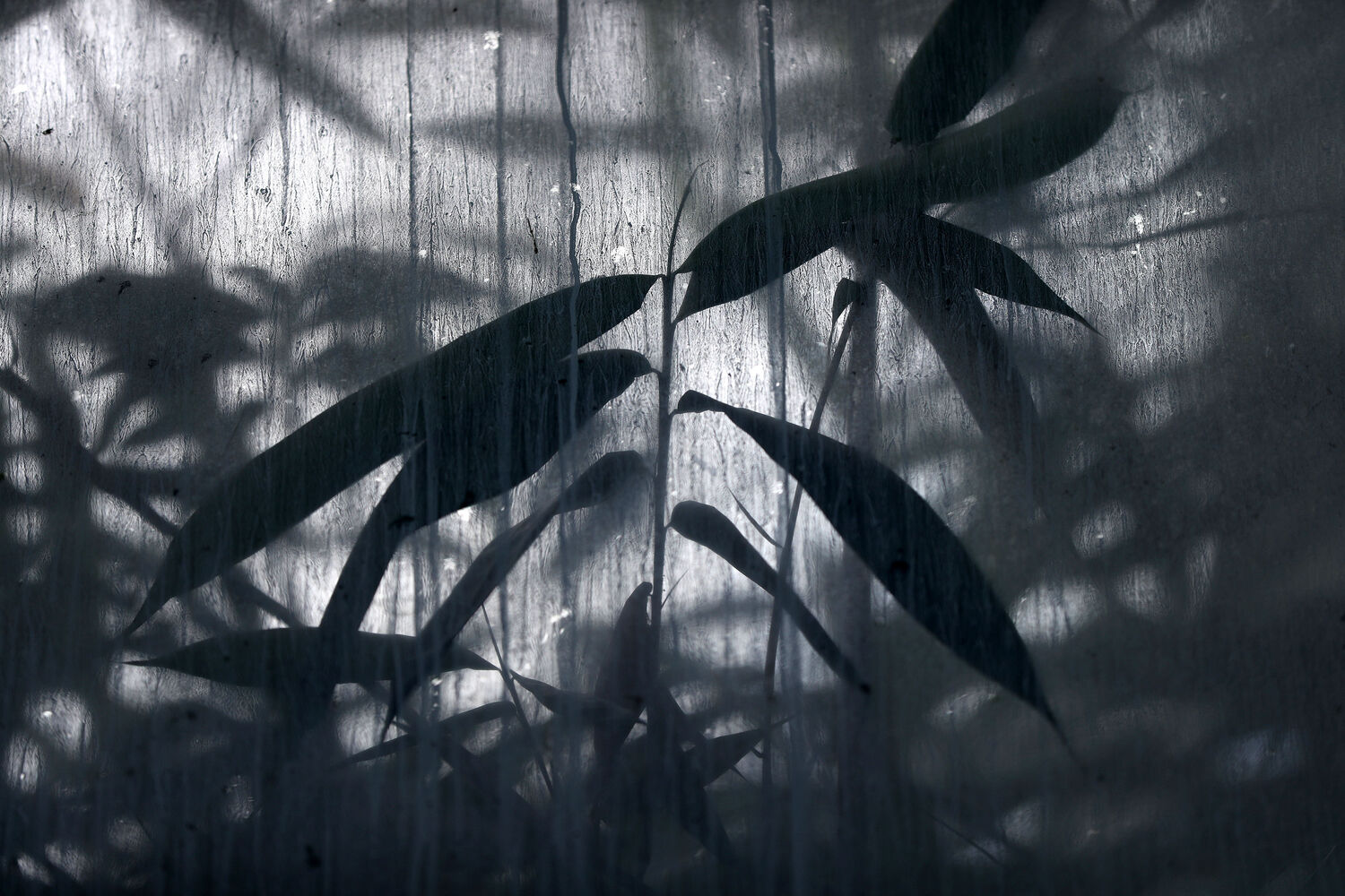 Light and shadow
